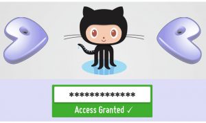 password-guessing