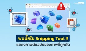 news-bug-Snipping-Tool-web