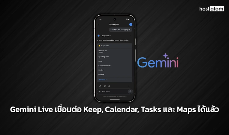 gemini live connect