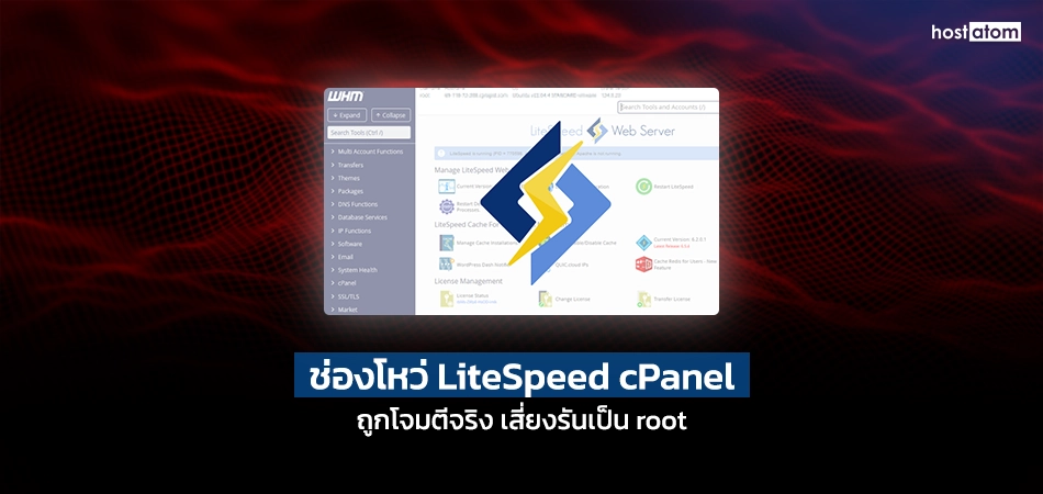 news LiteSpeed cPanel Plugin Exploited to Run Scripts as Root web